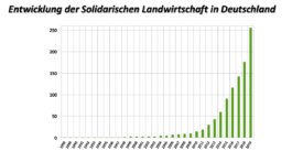 MAP Markus Ambach Projekte Documenta 15 