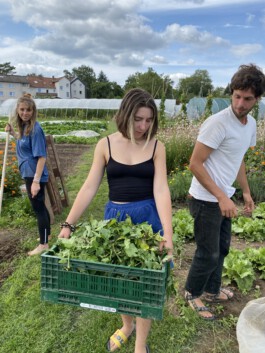 MAP Markus Ambach Projekte Documenta 15 