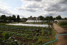 MAP Markus Ambach Projekte Documenta 15