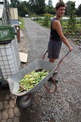 MAP Markus Ambach Projekte Documenta 15 