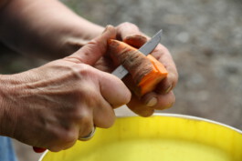 MAP Markus Ambach Projekte Documenta 15 