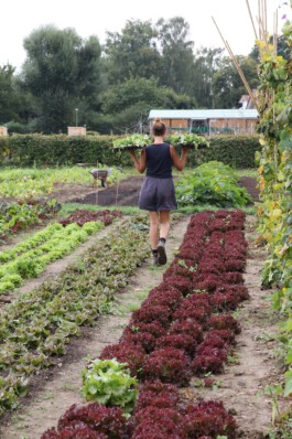 MAP Markus Ambach Projekte Documenta 15 