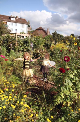 MAP Markus Ambach Projekte Documenta 15
