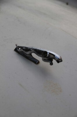 MAP Markus Ambach Projekte Documenta 15 