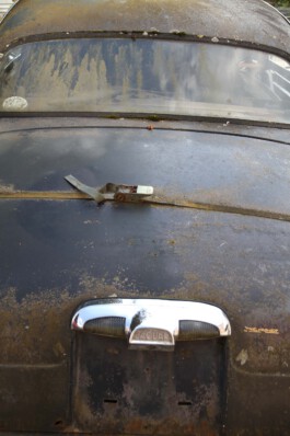 MAP Markus Ambach Projekte Documenta 15 