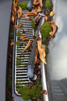 MAP Markus Ambach Projekte Documenta 15 