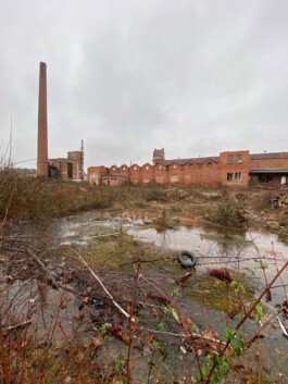 MAP Markus Ambach Projekte Documenta 15 