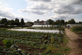 MAP Markus Ambach Projekte Documenta 15 