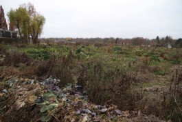 MAP Markus Ambach Projekte Documenta 15