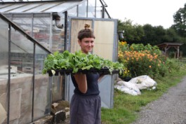 MAP Markus Ambach Projekte Documenta 15 