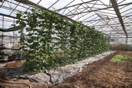 MAP Markus Ambach Projekte Documenta 15 