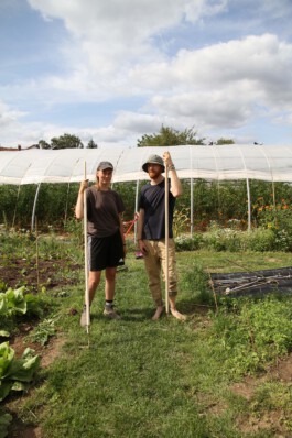 MAP Markus Ambach Projekte Documenta 15 