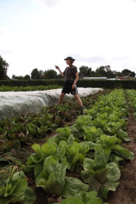 MAP Markus Ambach Projekte Documenta 15 