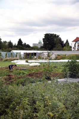 MAP Markus Ambach Projekte Documenta 15 