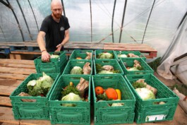 MAP Markus Ambach Projekte Documenta 15 