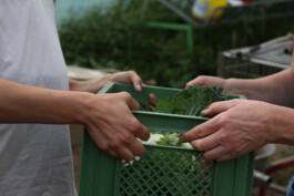 MAP Markus Ambach Projekte Documenta 15 