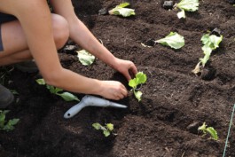 MAP Markus Ambach Projekte Documenta 15 