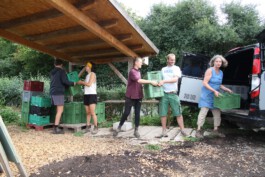 MAP Markus Ambach Projekte Documenta 15 