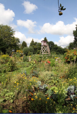 MAP Markus Ambach Projekte Documenta 15