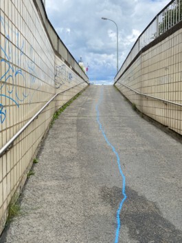 MAP Markus Ambach Projekte Documenta 15 