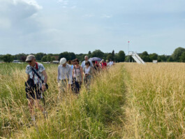 MAP Markus Ambach Projekte Documenta 15 
