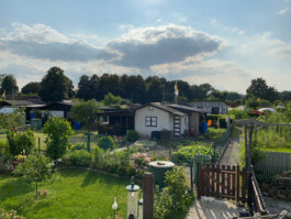 MAP Markus Ambach Projekte Documenta 15 