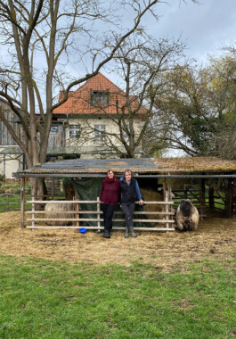 MAP Markus Ambach Projekte Documenta 15
