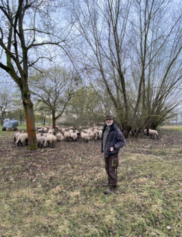 MAP Markus Ambach Projekte Documenta 15